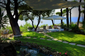 BY FAR THE BEST VIEW IN SANI RESORT!